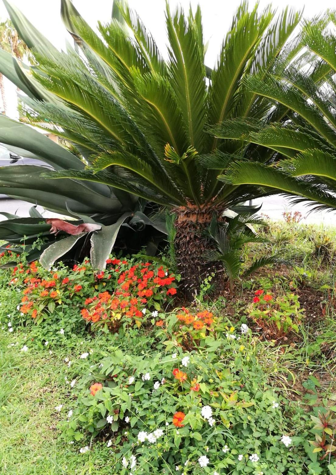 Casa Luce Apartman Marina di Massa Kültér fotó